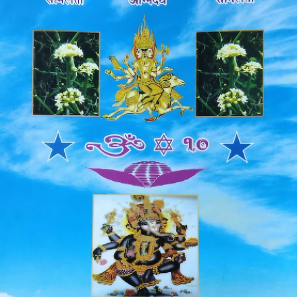 अक्षरागमाङ्कमालिका